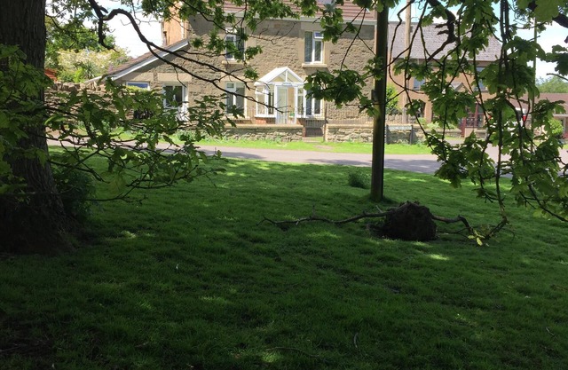 🌿 Peaceful & Cosy Cottage Stay in the Forest of Dean 🌳🐑