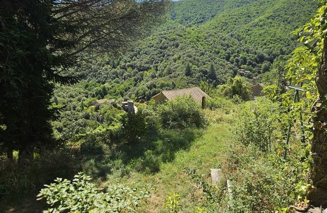 Perched Nest in Cevennes Mountains, relaxing place