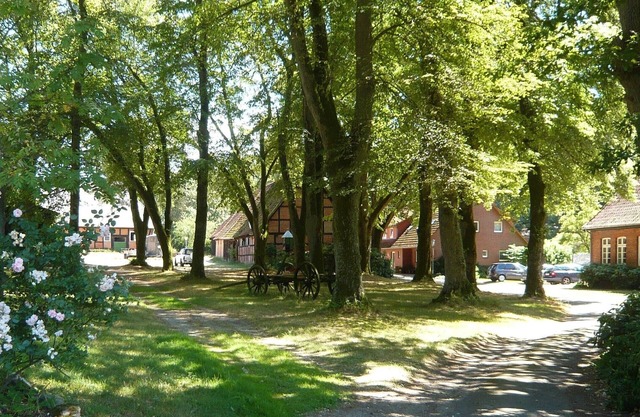 Picturesque farm in the Lüneburg Heath, holiday apartment, pony rides