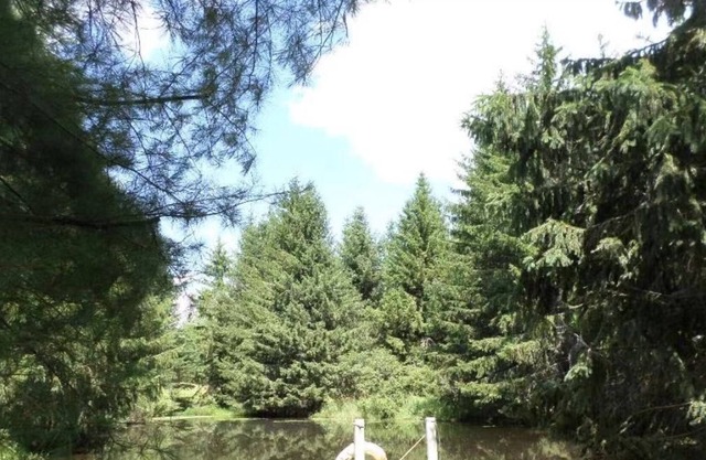 Picturesque Lakeside Cottage Nearby Hunter/Windham