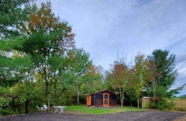 Pine Cone Off grid cabin near Watkins Glen, NY!