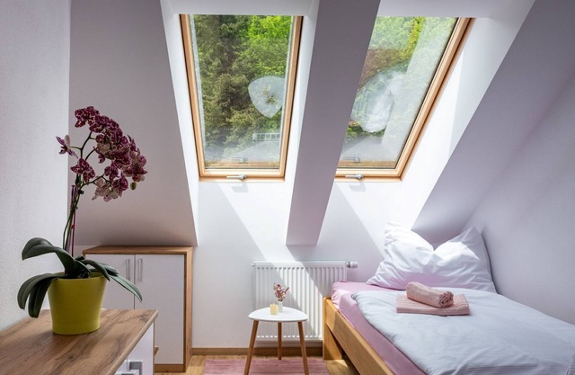 Pink Mandala by Interhome