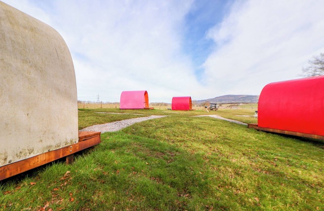 POD 6, pet friendly, country holiday cottage in St Asaph