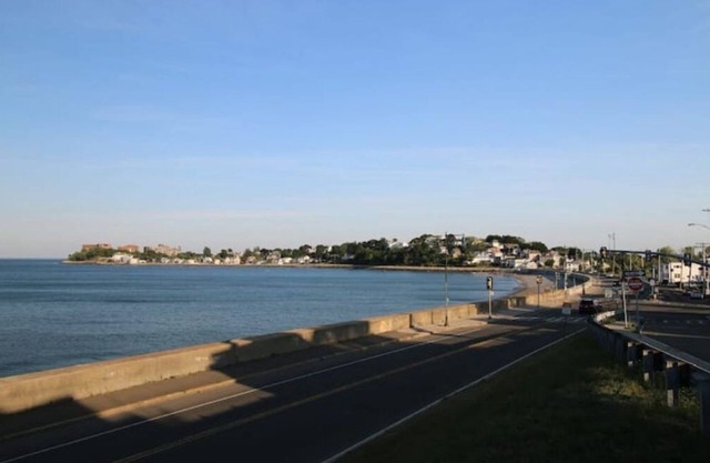 Private apt Walk to MBTA Blue and beach, view!