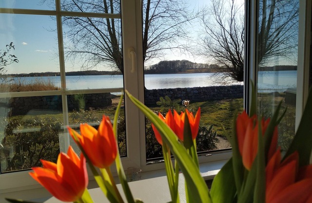 Quietly situated house directly on the lake (Schaalsee, Lübeck), three rooms, two bathrooms, 80 m²