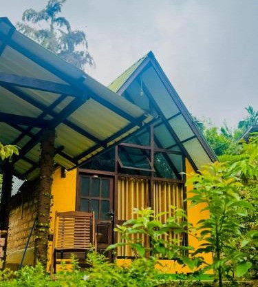 Rainforest cabin