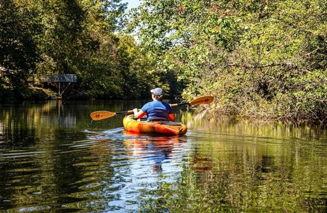 River Cabin | Fire Pit, Kayaks, Games, Dog Park
