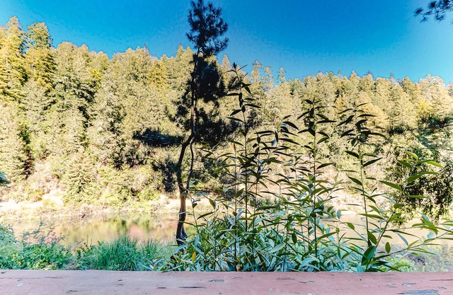 Riverfront cottage with water views, deck, washer/dryer - golf nearby