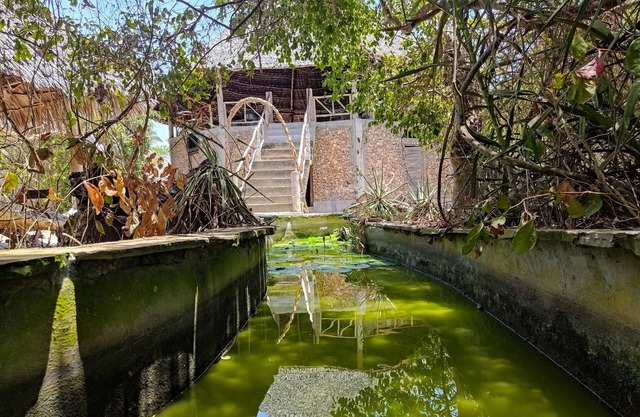 Room in B&B - Mida Creek Eco Camp Community Project,mida Creek Watamu Kilifi County