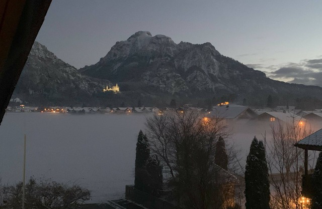 Royal castle and alpine view