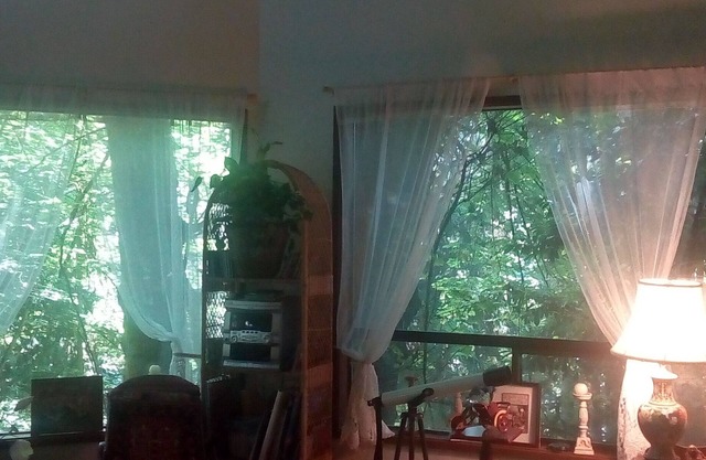 RUSTIC TREEHOUSE HOUSE CLOSE TO SEATTLE, WA