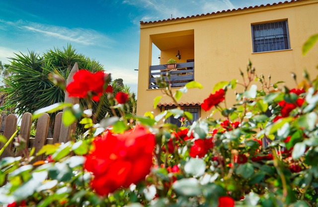 Sapphire House - whole house with garden