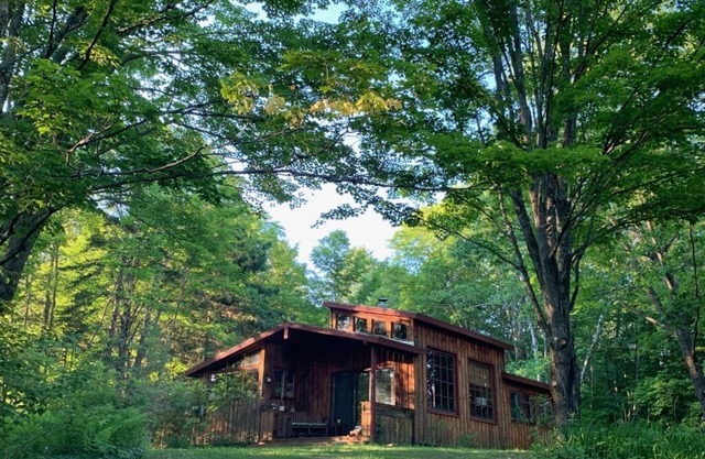 Secluded forest hideaway with hot tub