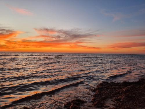 Semaphore beachfront