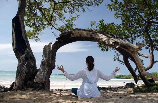 Semilla Verde Boutique Hotel