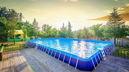 seocheon paintree glamping