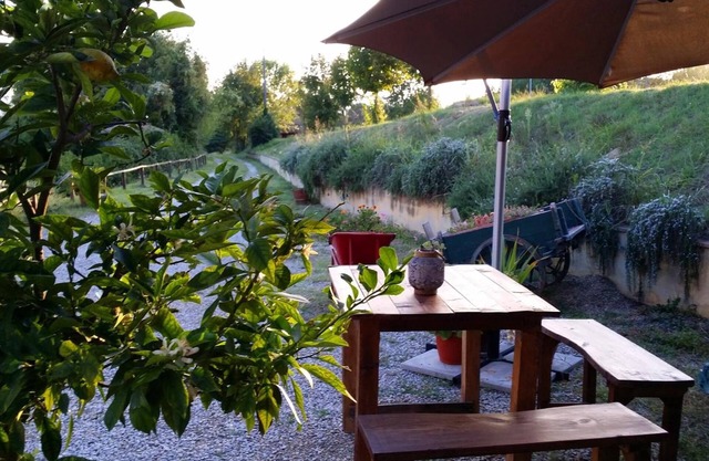 Serendipity House B&B