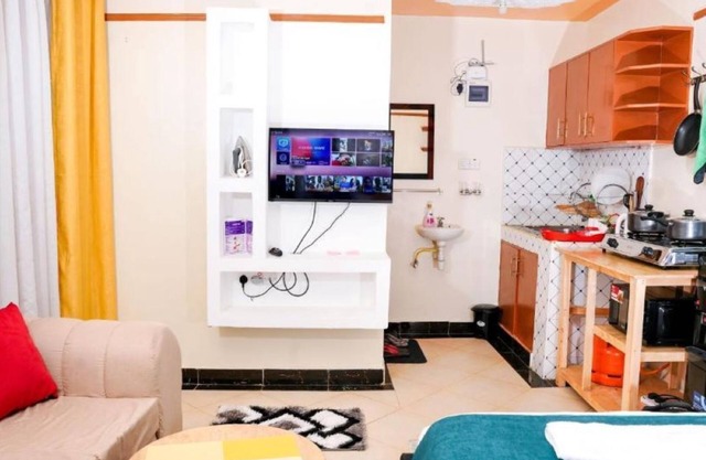 Shalom Apartments Naivasha - Studio Apartment with king bed 6