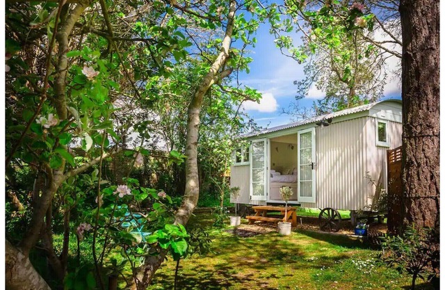Shepherd's Hut B&B nr Salisbury, Stonehenge & Bath