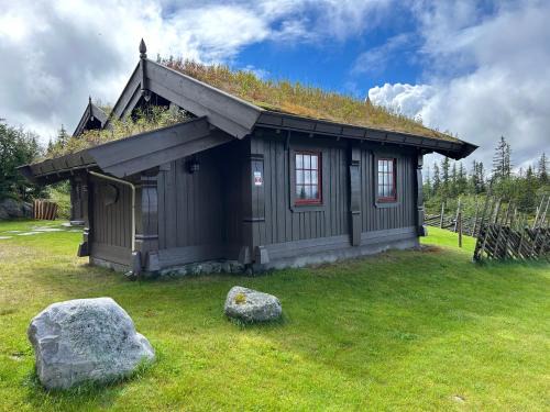 Sleepover in the mountains