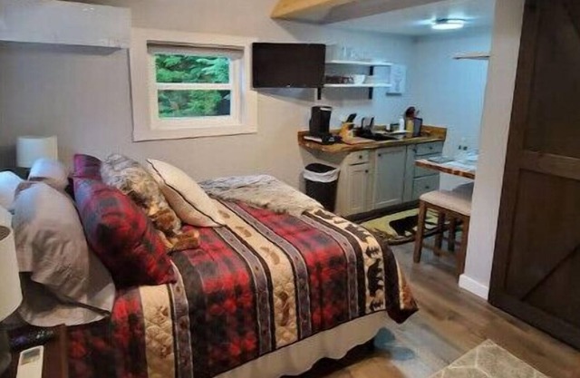 Sleepy Hollow Cabin 2 Studio, sleeps 2, queen bed