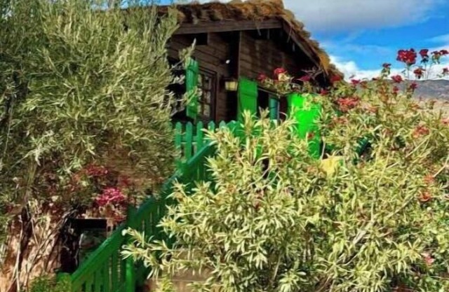 So Bin Junior Suite – Mountain View