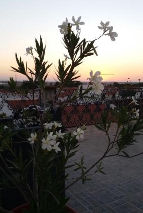 Solar Dos Viscondes - Turismo De Habitacao