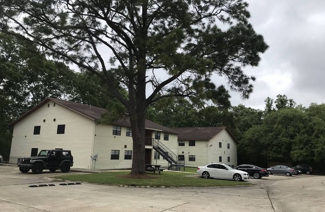 Spacious apartment with quiet and friendly atmosphere