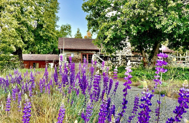 Spacious mountain lodge