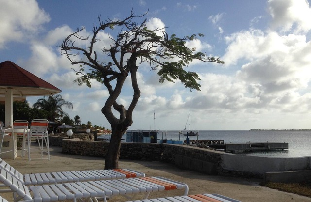 Spacious Oceanfront 1-Bdrm Condo Unit B3 at Sand Dollar Resort