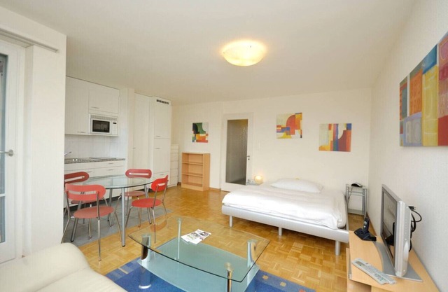 Spacious studio with balcony (Vineyard 71)