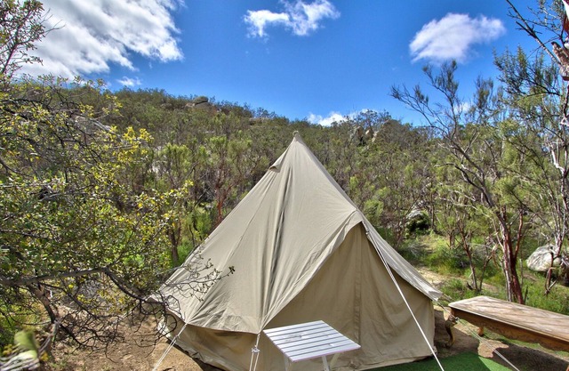 Stargaze in a CA Desert Glamp: Palomar Views