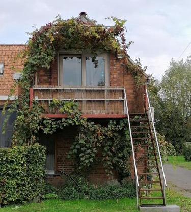 Studio with More than a View