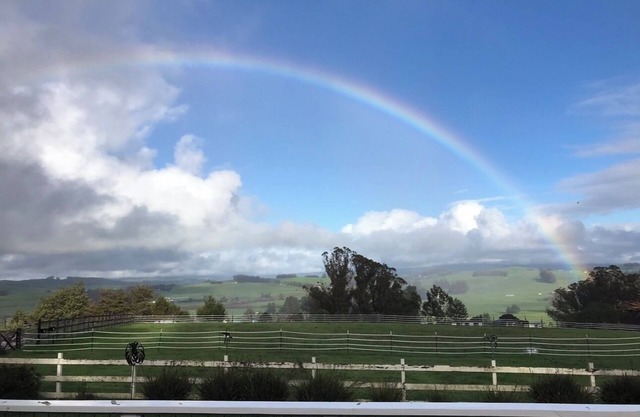 Stunning 3-bedroom farmhouse in Petaluma on Horse Farm