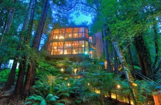 Stunning Chalet in Mill Valley Redwood Forest