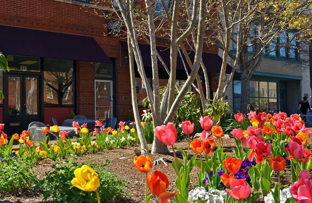 Sunset on the Attic on Main Street. Charming Hendersonville. Walkable. Off street parking