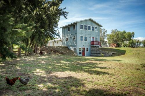 Sunset Orchard- Sunny Side of Waimea, Close to Beaches!