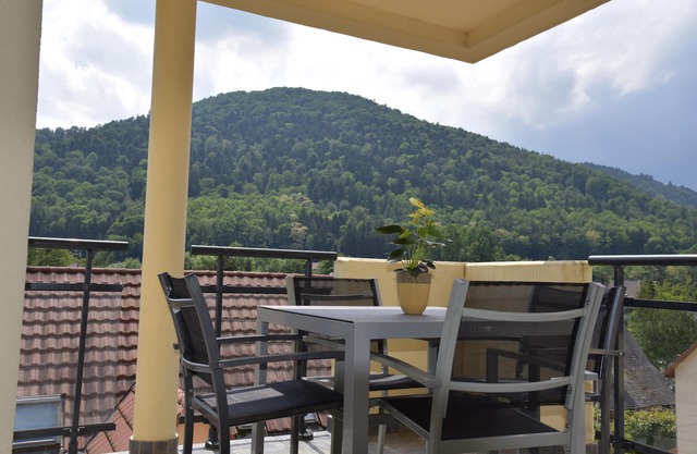 Superb apartment in a quiet residence with mountain views