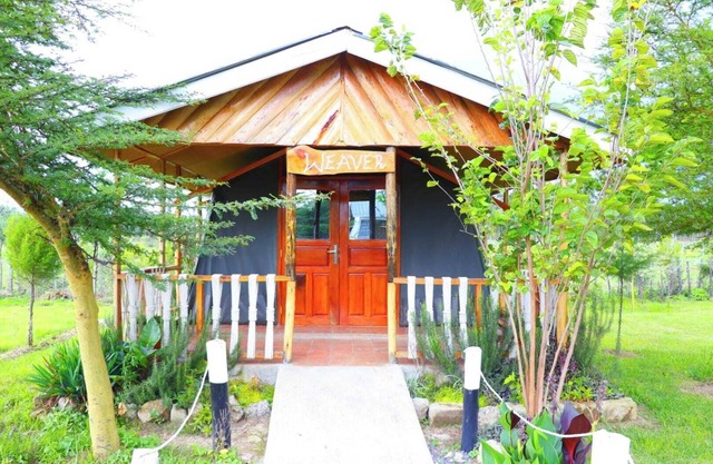 Tamarisk Ol Bolosaat