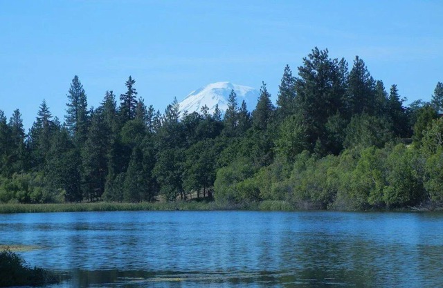 Tentrr Signature Site - Lakeside at Klickitat Ranch