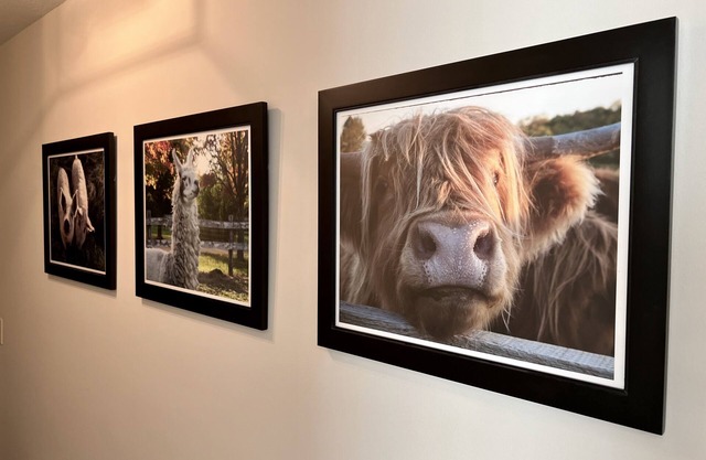 The Bavaria Farmhouse - 30 Acre Estate