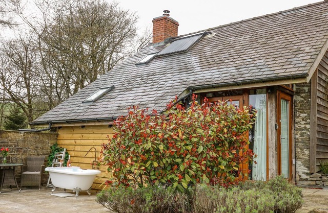 THE CWTCH, pet friendly, with open fire in Llanbister