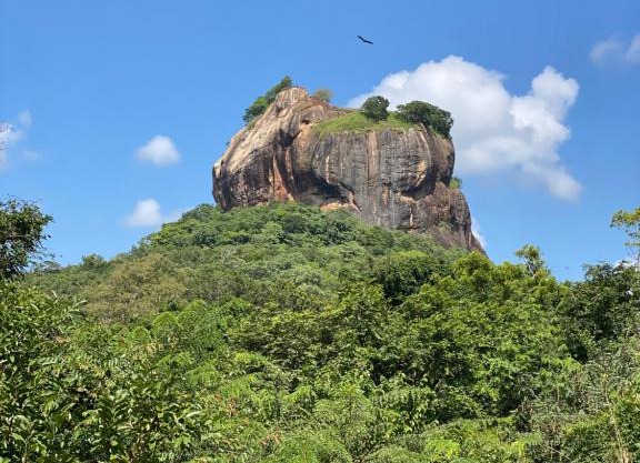 The Elephant Hide villa Sigiriya