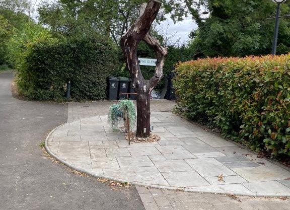 The Glen Guest House 1-bedroom guest house with free parking