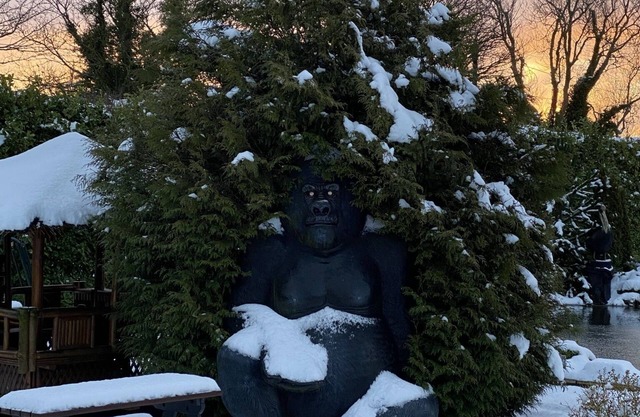 The Hedgehog Burrow - Lodge with private hot tub