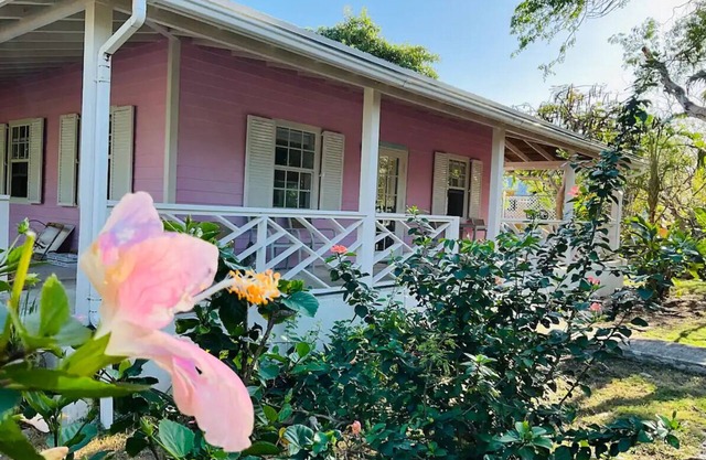 The Pink @ Hoopers Bay Beach