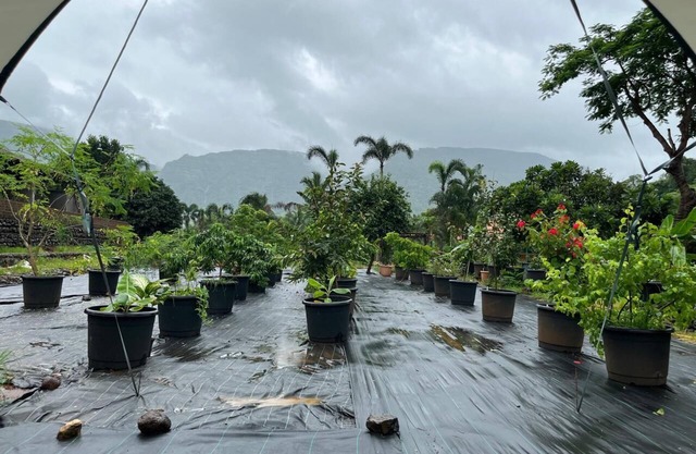 The Riverstone Agro Farm