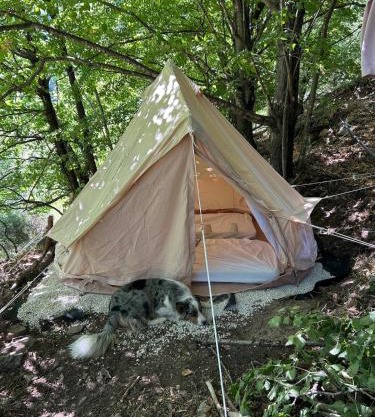 Tipi Nature a l'Ombre des Tilleuls à Vialas en Cévennes