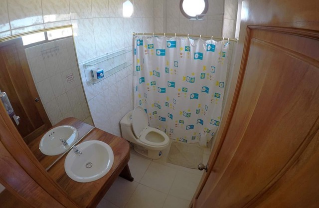 Tour to volcan, swim with sharks! Double Room Suite #5