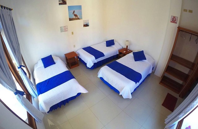 Tour to volcan, swim with sharks! Tripple Room Suite #1